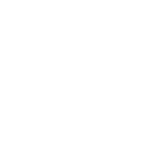 Intur Sport